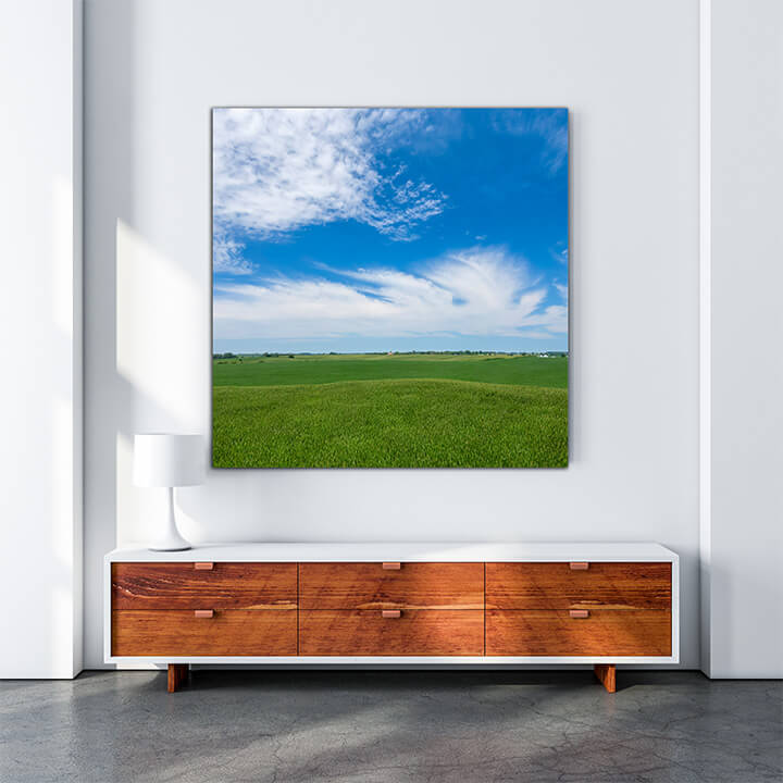 M3 0010 MOCKups 0000 33213558 view of a green field of young corn in the american midwest AOAY1689