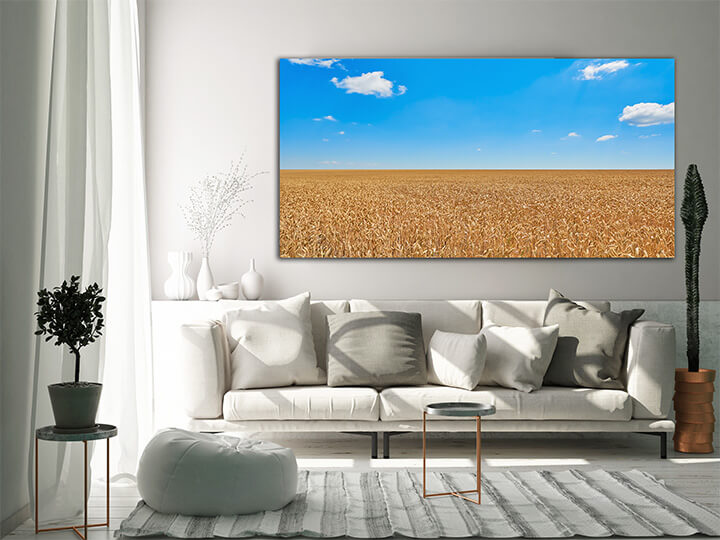 M3 0012 MOCKups 0009 26236048 field of rye AOAY1680