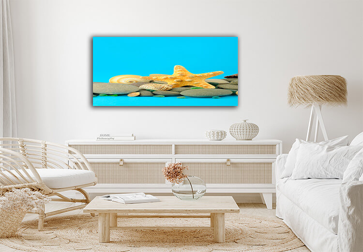 M3 0015 Mockup 0020 2128865 starfish and set of objects of the sea underwater world AOAY1125