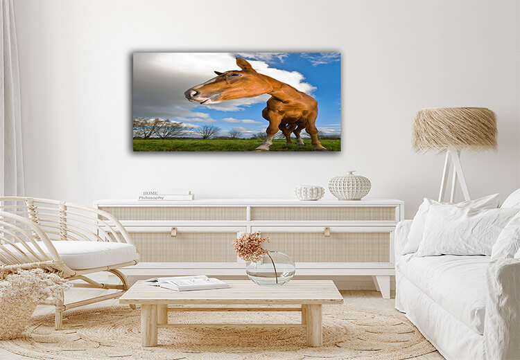 M3 0016 Mockup 0023 1316957 horse looking to the left wide angle AOAY1327