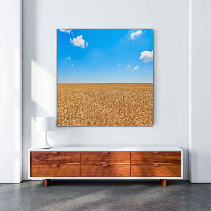 M3 0018 MOCKups 0009 26236048 field of rye AOAY1680