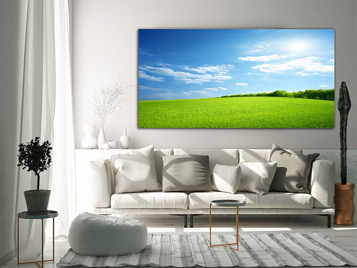 M3 0020 MOCKups 0028 4331553 field of green grass AOAY1662