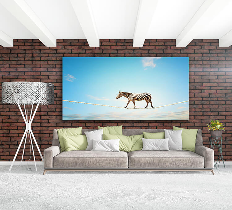 M3 0021 MOCKUP 0015 9049060 zebra walking on rope AOAY1641