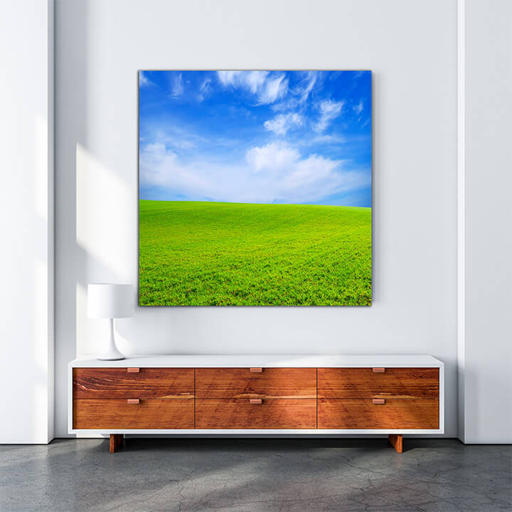 M3 0028 MOCKups 0022 6215636 field AOAY1668