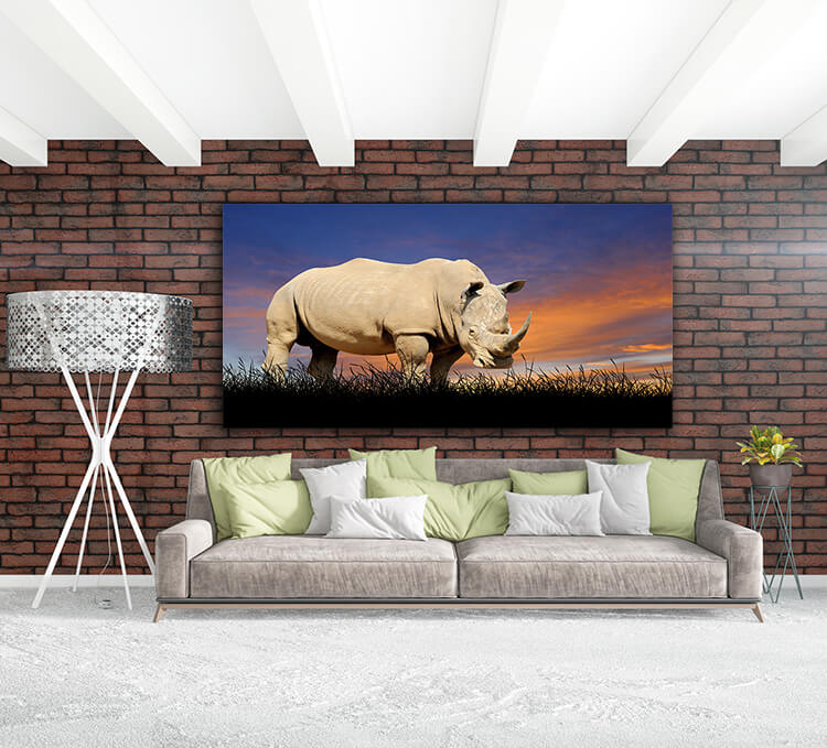 M3 0029 MOCKUP 0007 22639478 rhino on the background of sunset sky AOAY1650