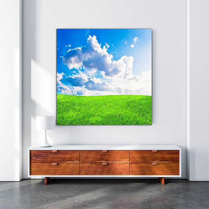 M3 0029 MOCKups 0020 6446694 green meadow AOAY1670