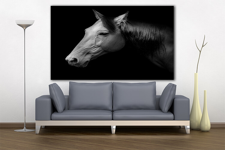 M3 0030 MOCKUPs 0027 PRINT LANDSCAPE 0013 12757352 russian trotter AOAY1574