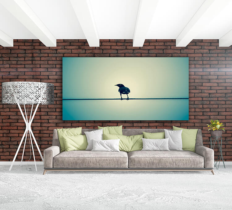 M3 0032 MOCKUP 0004 24921706 common myna bird on electric wire AOAY1653
