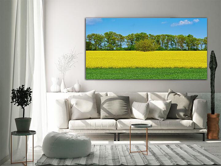 M3 0032 MOCKups 0012 23377620 field of colza and wheat AOAY1677