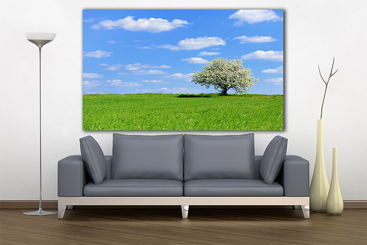 M3 0037 MOCKUPs 0030 PRINT LANDSCAPE 0010 22675674 blossoming tree in spring AOAY1577