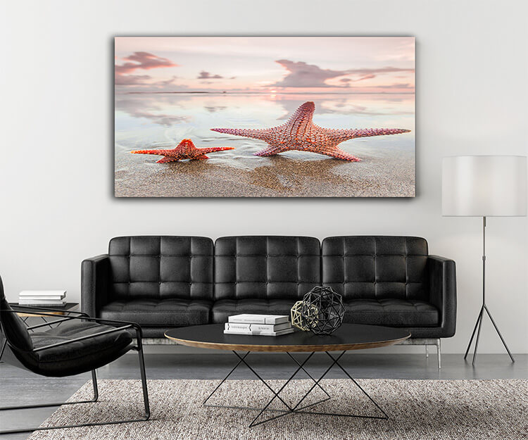 M4 0000 MOCKUP 0005 PRINT PANORAMIC 0001 35856056 two starfish on sea beach at sunset AOAY1621
