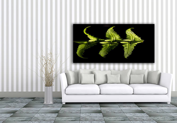 M4 0000 Mockup 0002 32549182 green fern plant AOAY1403