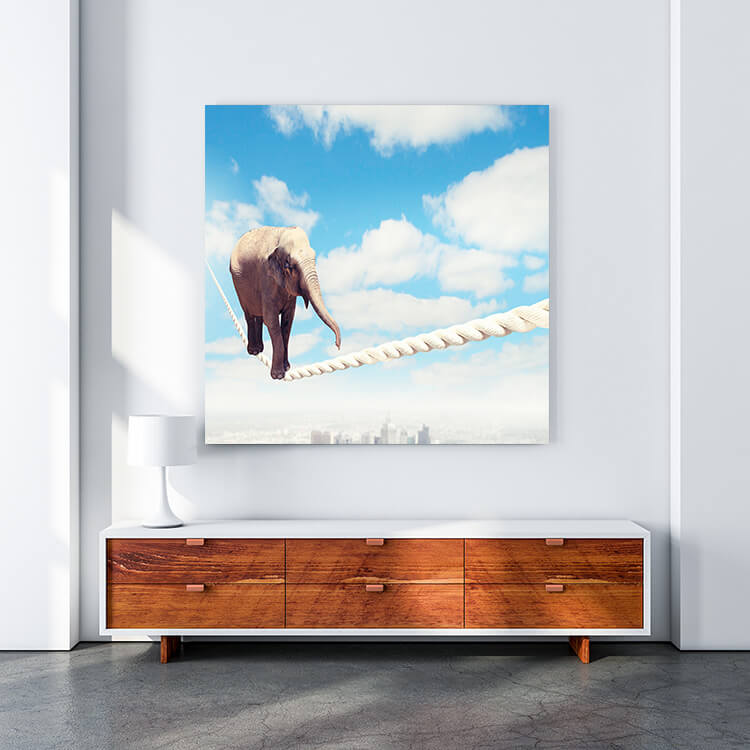 M4 0007 MOCKUP 0028 8780780 elephant walking on rope AOAY1628