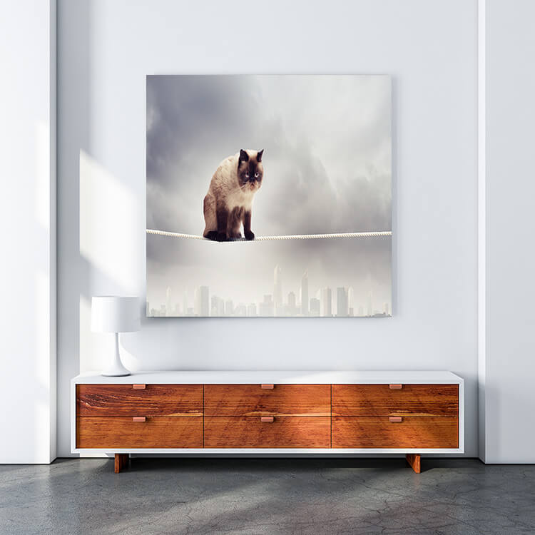 M4 0012 MOCKUP 0023 8788868 siamese cat sitting on rope AOAY1633