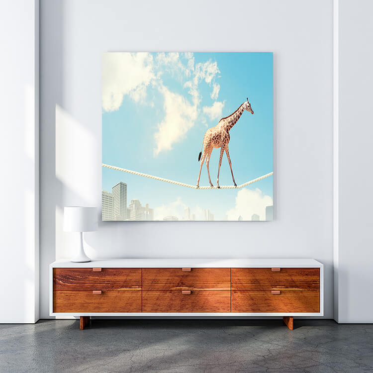M4 0014 MOCKUP 0021 8814212 giraffe walking on rope AOAY1635