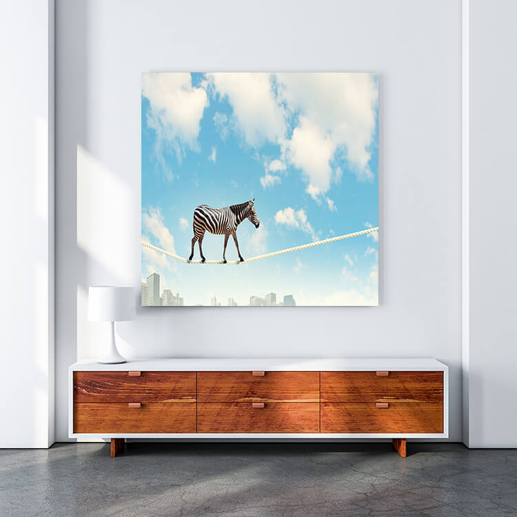 M4 0015 MOCKUP 0020 8814616 zebra walking on rope AOAY1636