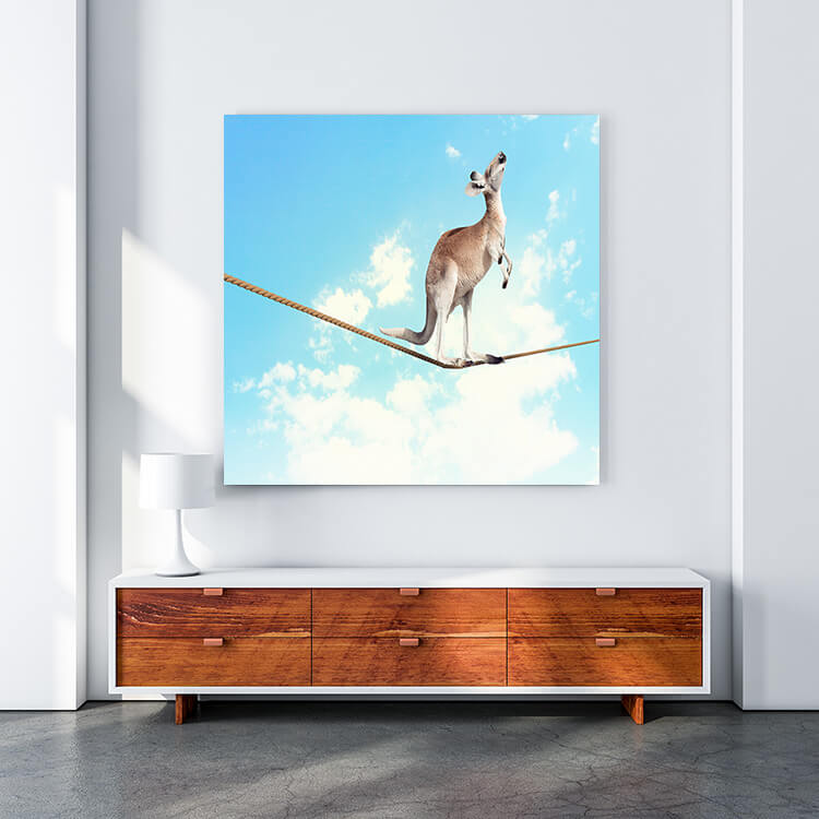 M4 0017 MOCKUP 0018 8982204 kangaroo walking on rope AOAY1638