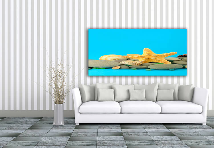M4 0018 Mockup 0020 2128865 starfish and set of objects of the sea underwater world AOAY1125