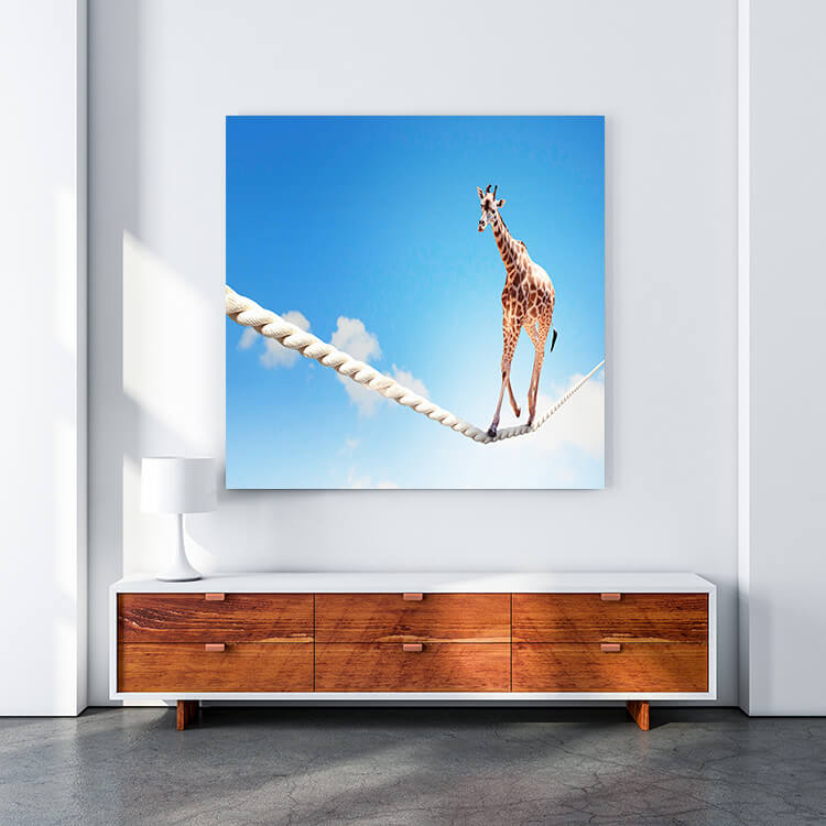 M4 0019 MOCKUP 0016 9048640 giraffe walking on rope AOAY1640