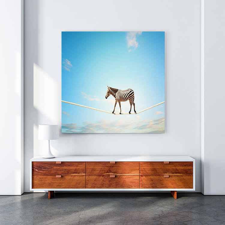 M4 0020 MOCKUP 0015 9049060 zebra walking on rope AOAY1641