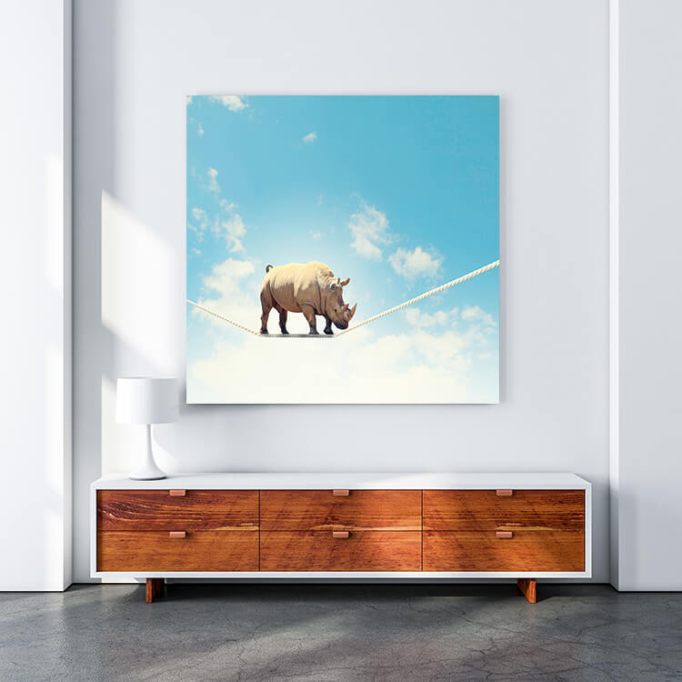 M4 0021 MOCKUP 0014 9088038 rhino walking on rope AOAY1642