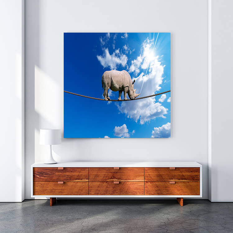 M4 0022 MOCKUP 0013 9762504 rhino walking on rope AOAY1643