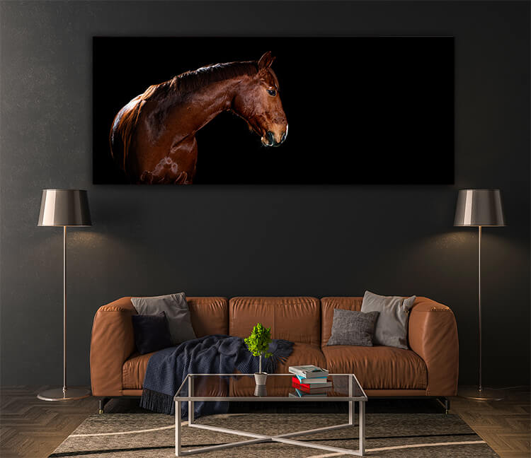 M4 0022 MOCKUPs 0015 PRINT LANDSCAPE 0025 29869230 horse portrait on black background AOAY1600