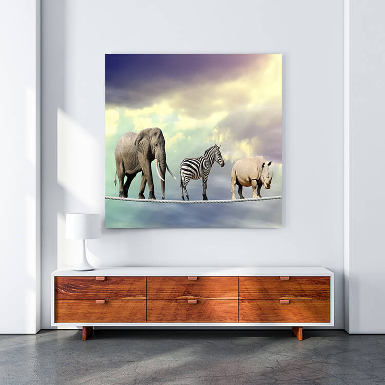 M4 0027 MOCKUP 0008 22503456 elephant zebra rhino walking on a rope AOAY1649