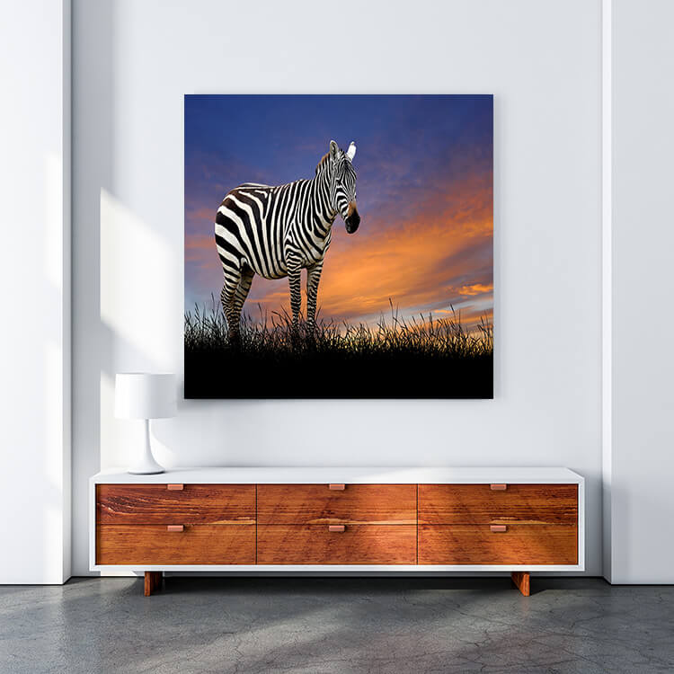 M4 0029 MOCKUP 0006 22639488 zebra on the background of sunset sky AOAY1651