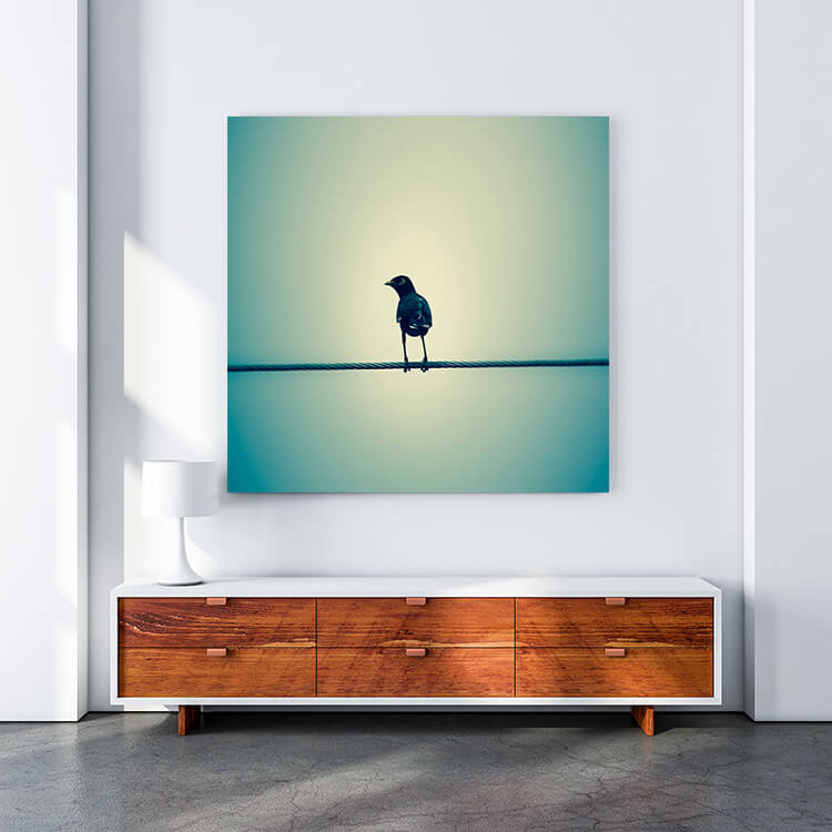 M4 0031 MOCKUP 0004 24921706 common myna bird on electric wire AOAY1653