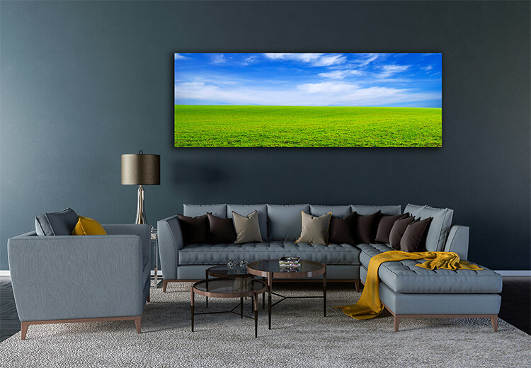 M5 0001 MOCKups 0022 6215636 field AOAY1668