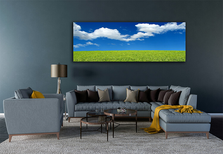M5 0004 MOCKups 0019 8223366 field and sky landscape AOAY1671