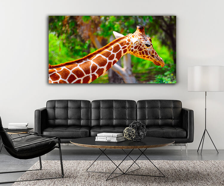 M5 0007 MOCKUP 0032 465724 giraffe AOAY1622