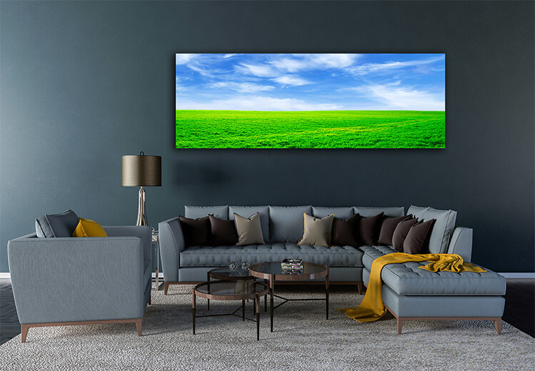 M5 0008 MOCKups 0027 4758930 field AOAY1663