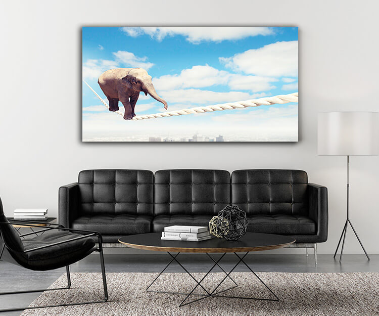 M5 0011 MOCKUP 0028 8780780 elephant walking on rope AOAY1628