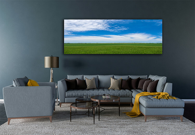 M5 0014 MOCKups 0000 33213558 view of a green field of young corn in the american midwest AOAY1689