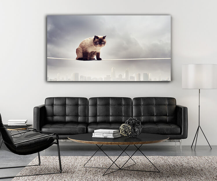 M5 0016 MOCKUP 0023 8788868 siamese cat sitting on rope AOAY1633