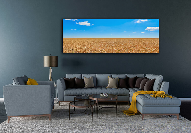 M5 0018 MOCKups 0009 26236048 field of rye AOAY1680