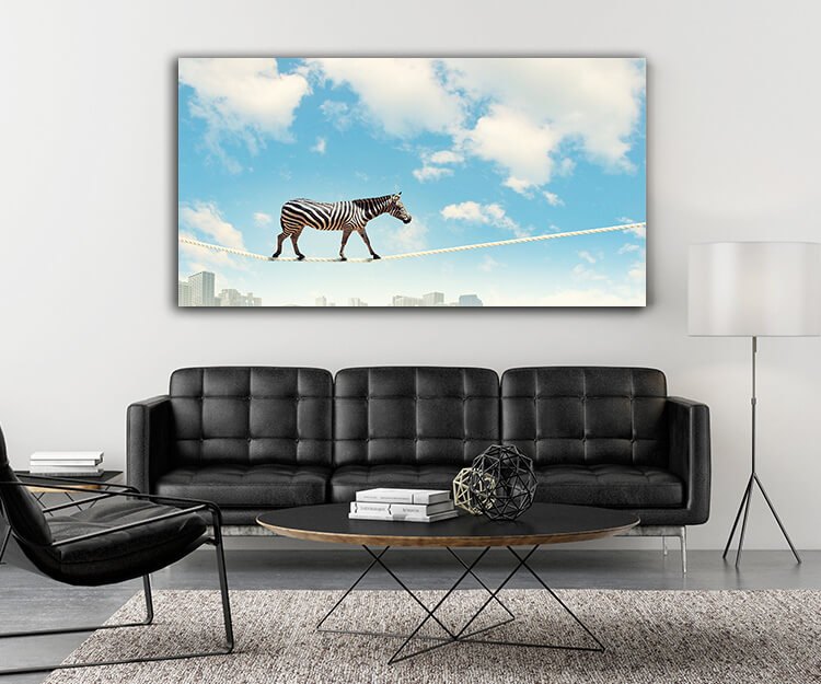 M5 0019 MOCKUP 0020 8814616 zebra walking on rope AOAY1636