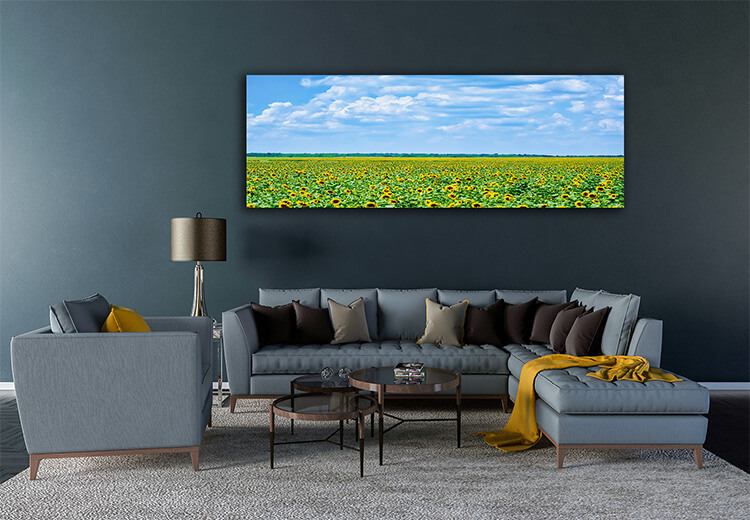 M5 0019 MOCKups 0008 26392046 sunflowers field in bulgaria AOAY1681