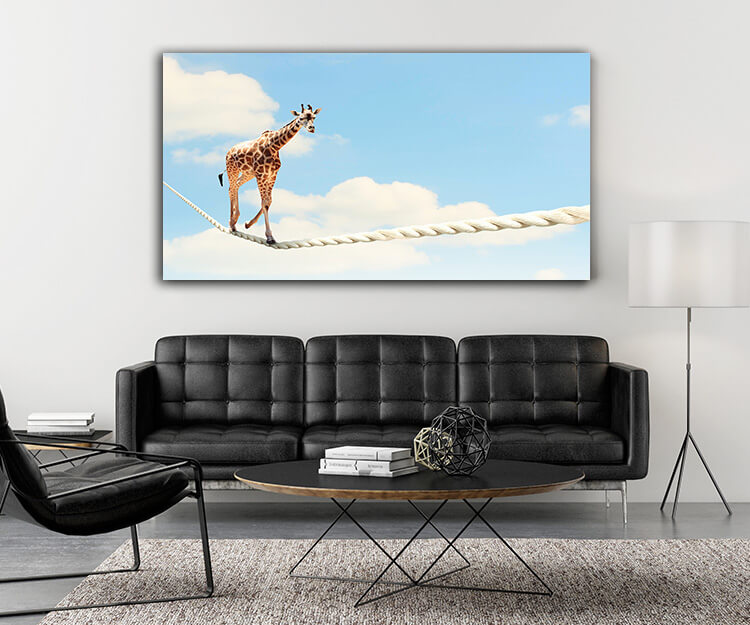 M5 0021 MOCKUP 0017 8982210 giraffe walking on rope AOAY1639