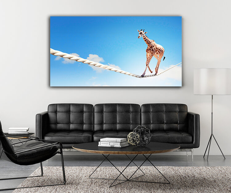 M5 0022 MOCKUP 0016 9048640 giraffe walking on rope AOAY1640