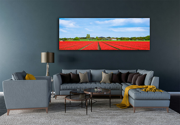 M5 0024 MOCKups 0003 29287642 field of red tulips AOAY1686