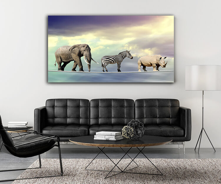 M5 0030 MOCKUP 0008 22503456 elephant zebra rhino walking on a rope AOAY1649