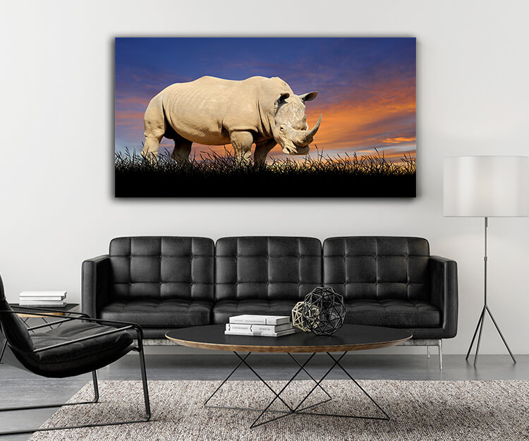 M5 0032 MOCKUP 0007 22639478 rhino on the background of sunset sky AOAY1650
