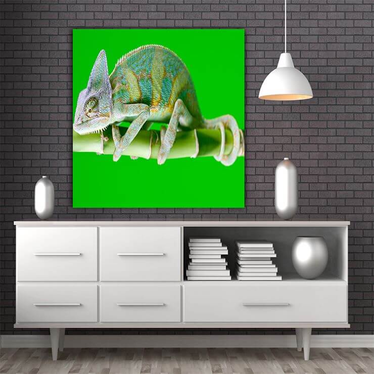 M6 0001 MOCKUP Portriate 0002 Print 0022 1609175 beautiful chameleon AOAY1331