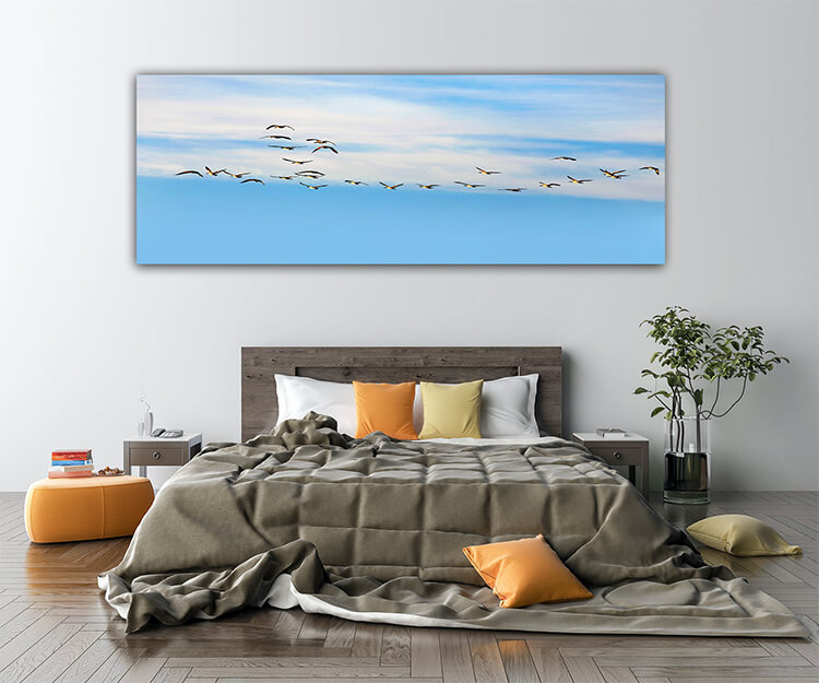 M6 0008 MOCKUPs 0023 PRINT LANDSCAPE 0017 3610671 flying group of geese AOAY1570