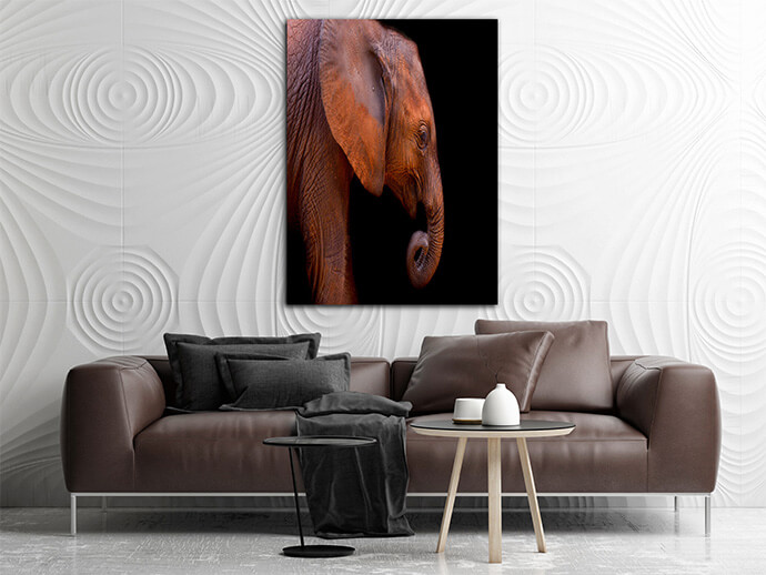 M6 Poritate 0002 Mockups1 P 0005 PRINT1 0005 15746356 baby elephant AOAY1739