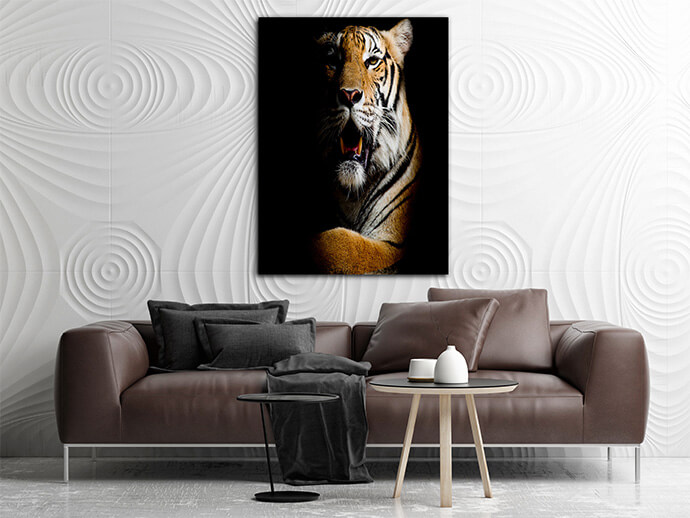 M6 Poritate 0008 Mockups1 P 0024 PRINT1 0011 15722516 tiger portrait of a bengal tiger AOAY1733