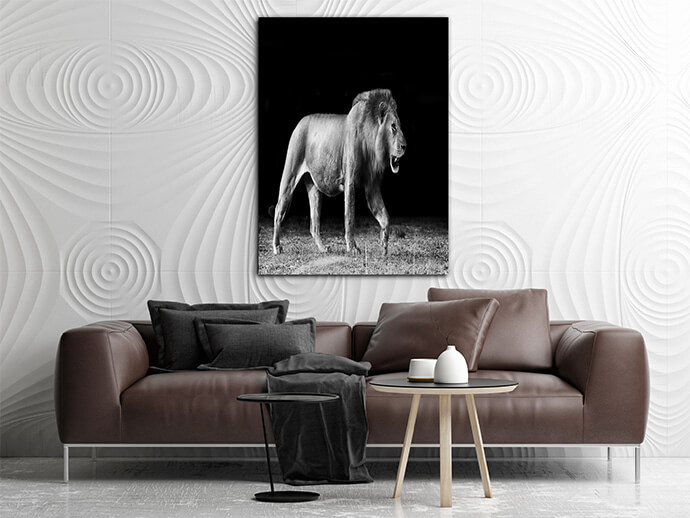 M6 Poritate 0016 Mockups1 P 0016 PRINT1 0019 8651204 lion In the Dark AOAY1725